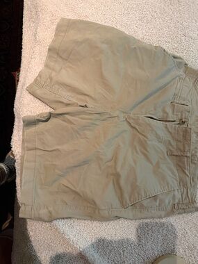 American Eagle Outfitters Men's Light Khaki Flat-Front Shorts